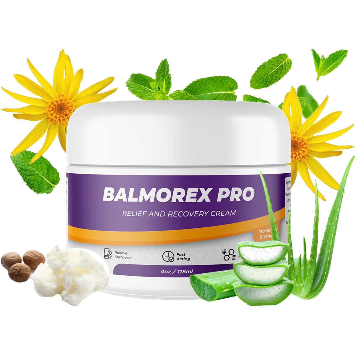 Balmorex Pro Natural Joint & Mobility Formula — Front Label